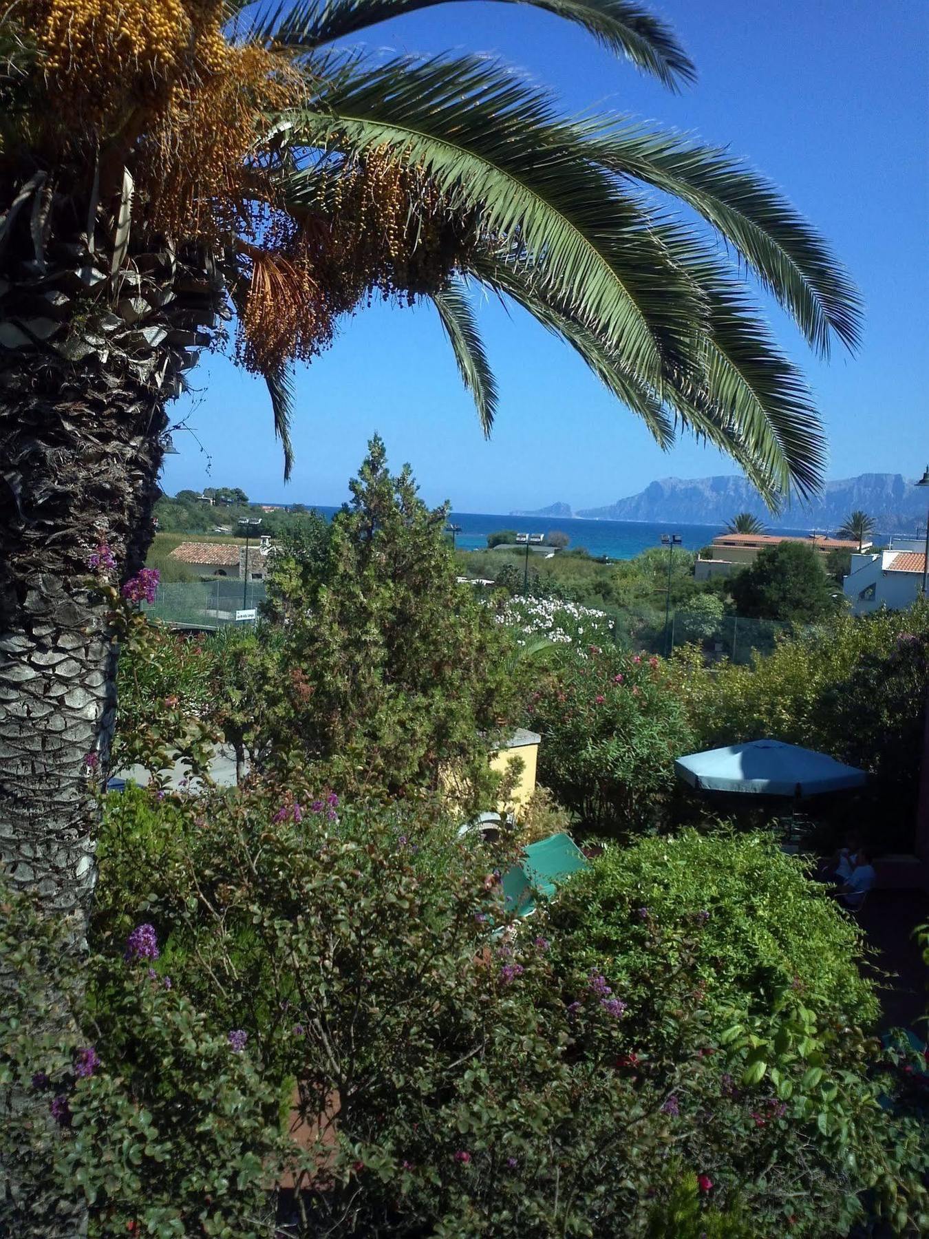 Abbaruja Olbia
