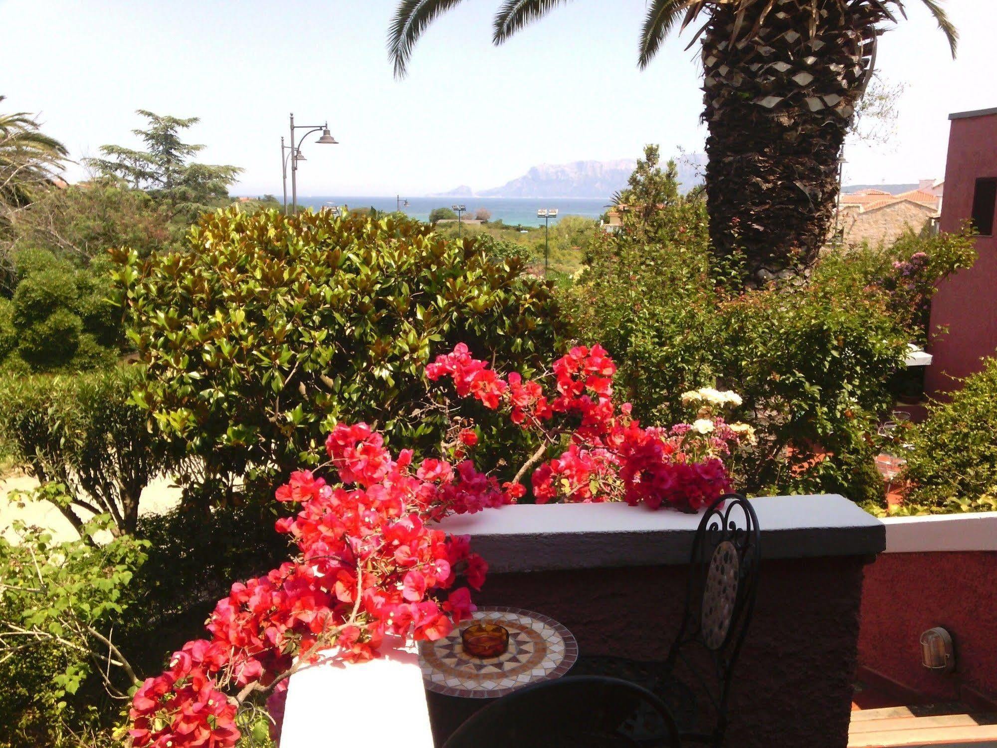 Hotel Abbaruja 3*
