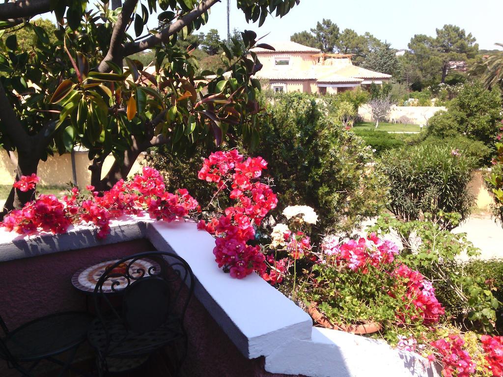 Hotel Abbaruja